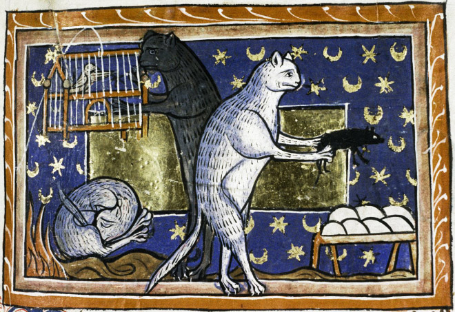 medieval-ugly-cat14