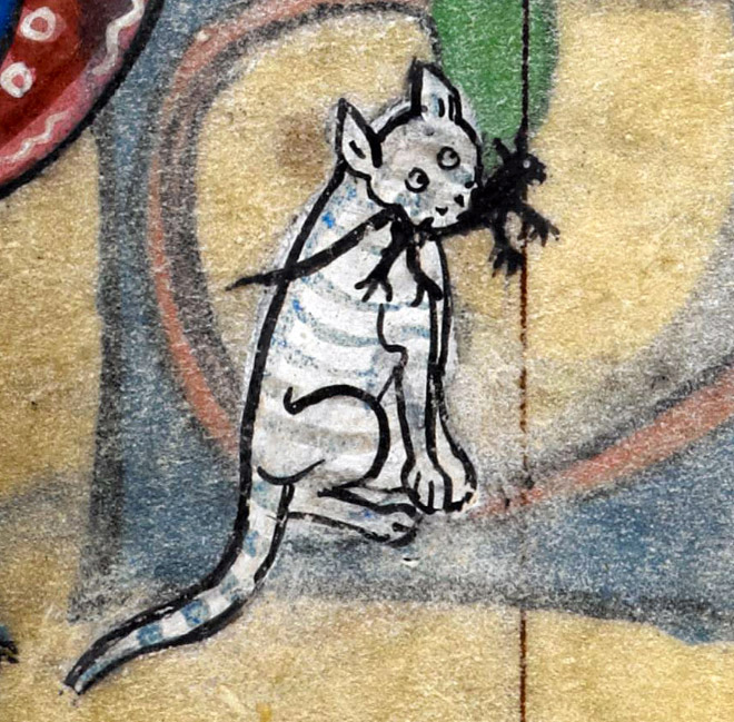 medieval-ugly-cat18