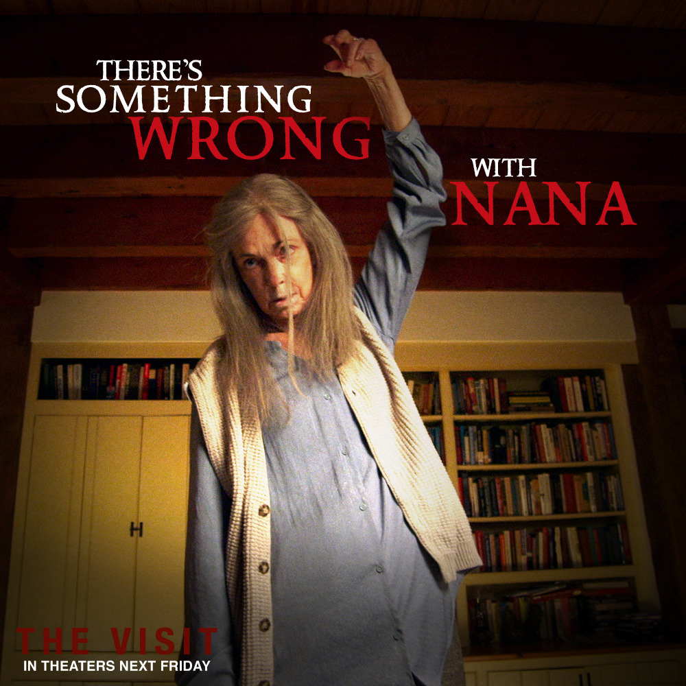 Horror Cinema: The Visit – The Devil's Muse